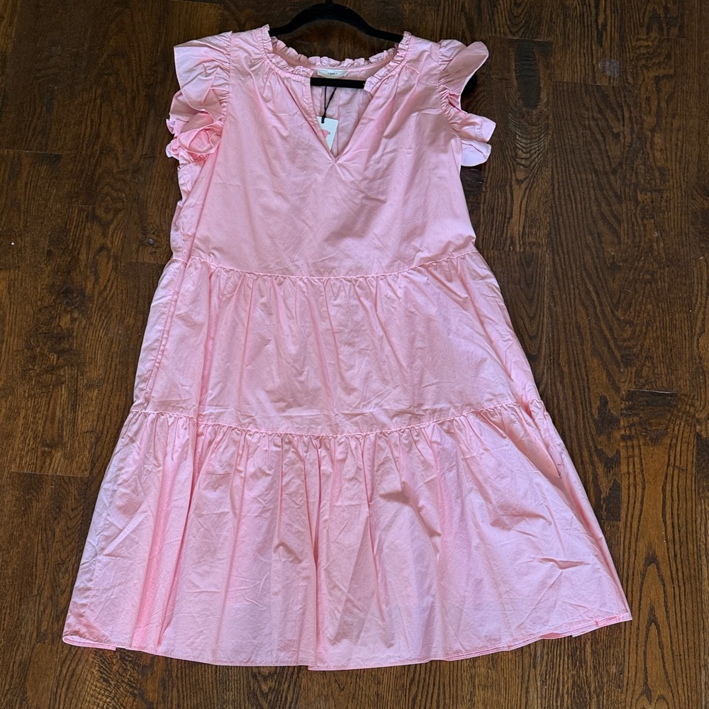 A Loves A Adorable Pink Ruffled A line Dress - Picture 2 of 6